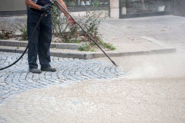Best Sidewalk and Walkway Cleaning  in Laurens, IA
